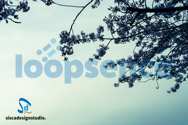 2016年。新作桜デジタル写真素材